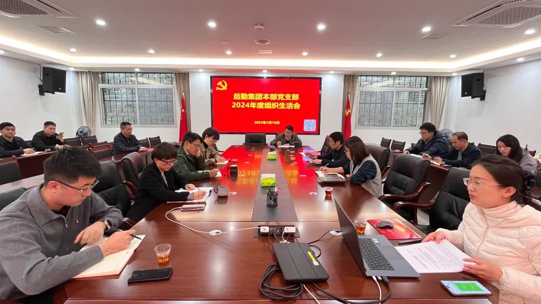 集团本部党支部召开2024年度组织生活会