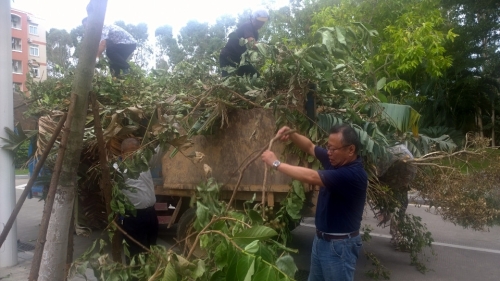 积极投入灾后清理恢复工作,上好“两学一做”实践课 ——漳州校区服务办党支部主动参与灾后校园清理行动