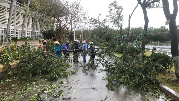 集团上下齐心协力 全力投入抗击台风