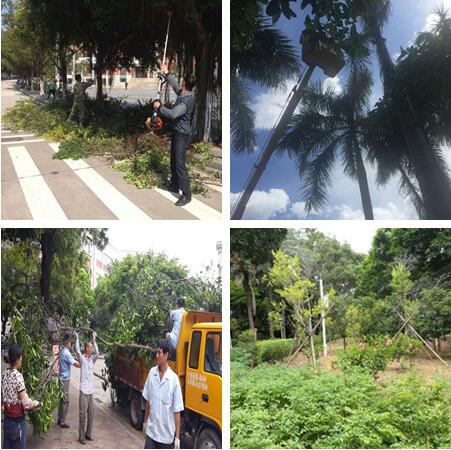 【防汛抗台】未雨绸缪,防御“尼伯特”——学生公寓与环境服务中心积极做好台风防范工作