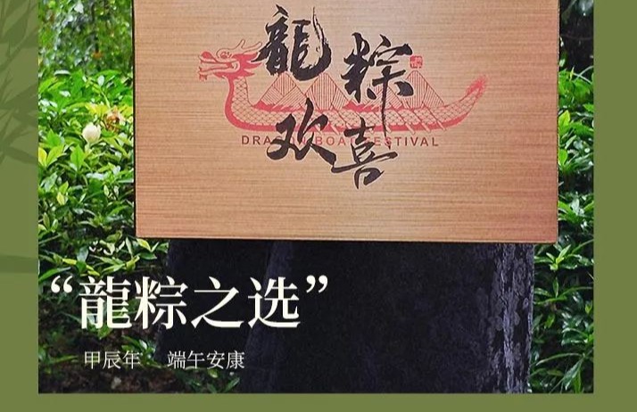 厦大臻品 龍粽之选