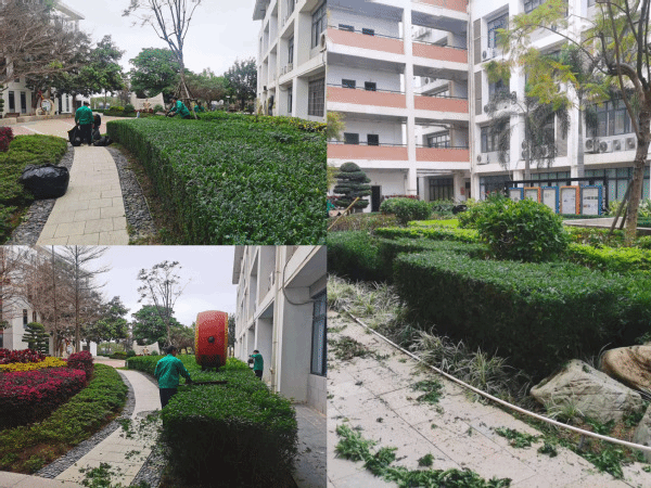 南强物业公司全力以赴助力文明典范城市创建