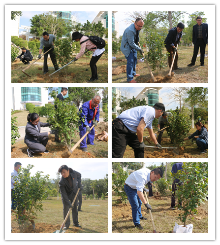 携手移植茶花   助力校庆校园美化 ——漳州校区服务办党支部开展“主题党日+”助力校庆后勤服务保障